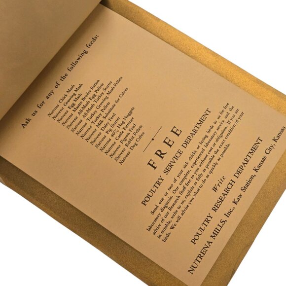 Antique Dutch Windmill Lithograph Print Nutrena Mills Advertising Promo - Picture 9 of 16